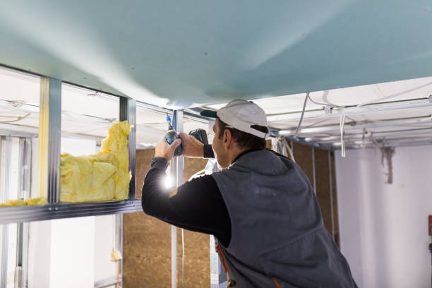 Best Residential Insulation in Coloma, MI
