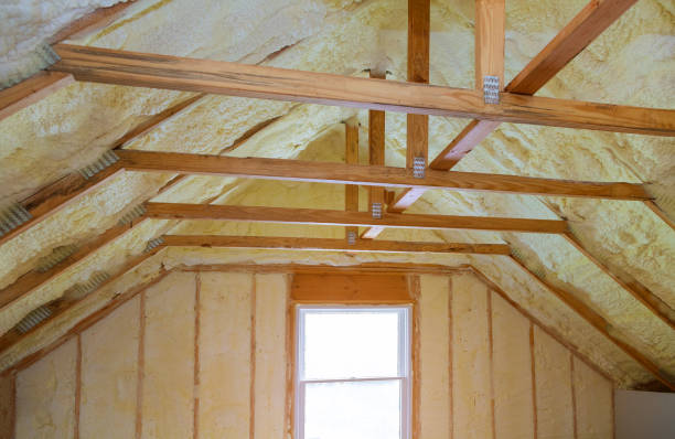 Best Insulation Maintenance and Repair in Coloma, MI