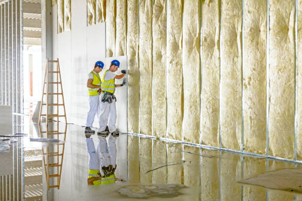Best Insulation for Specific Applications in Coloma, MI